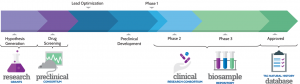 Preclinical Timeline